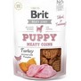 BRIT Jerky Puppy Turkey Meaty Coins  masov penzky z krty a kuete pro tata, 80g