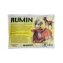 RUMIN - k nprav bachorovch dysfunkc, 1kg